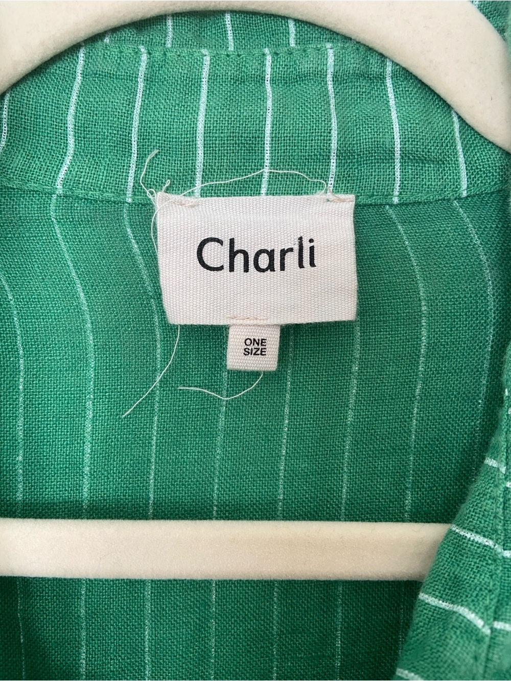 Charli Linen Provence Button Up Shirt in Green One Size Oversized - Picture 3 of 11